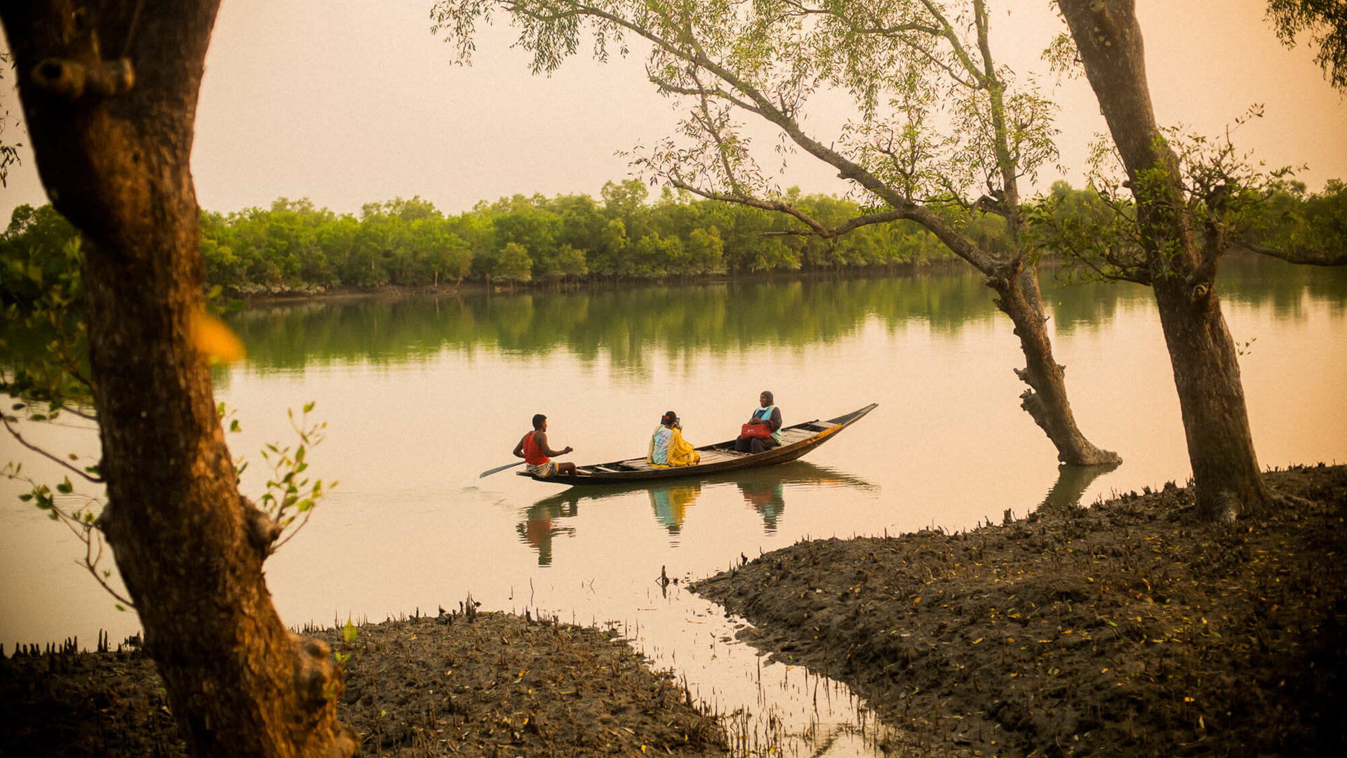 Health services in Bangladesh